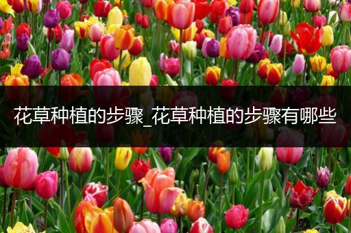 花草种植的步骤_花草种植的步骤有哪些
