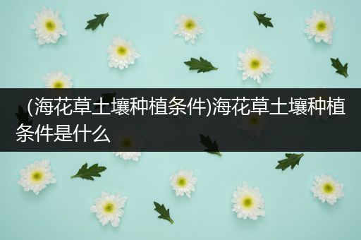 （海花草土壤种植条件)海花草土壤种植条件是什么