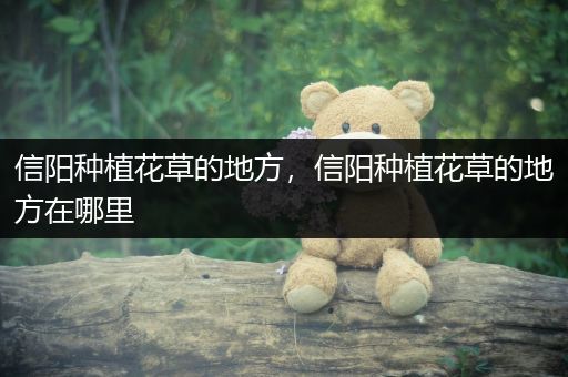 信阳种植花草的地方，信阳种植花草的地方在哪里