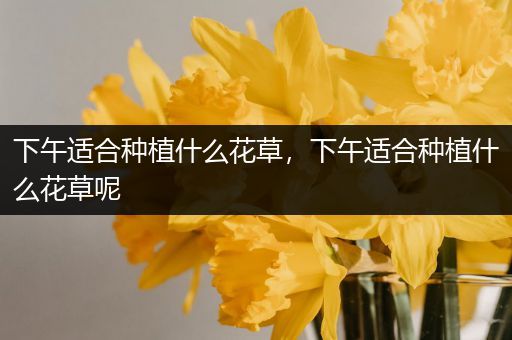 下午适合种植什么花草，下午适合种植什么花草呢