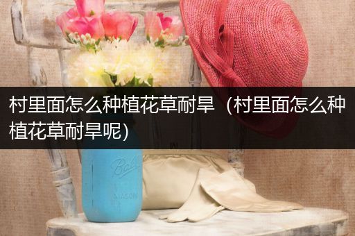 村里面怎么种植花草耐旱（村里面怎么种植花草耐旱呢）