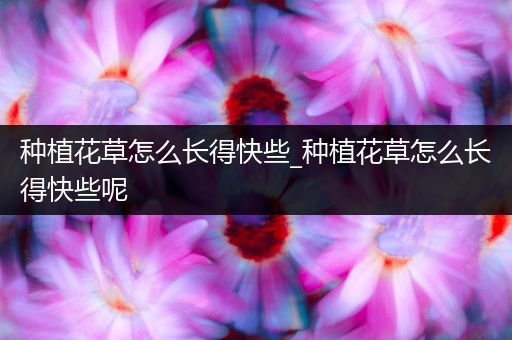 种植花草怎么长得快些_种植花草怎么长得快些呢