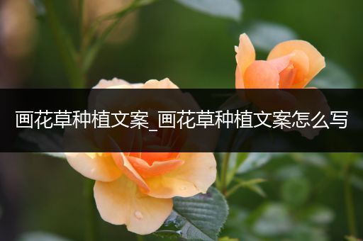 画花草种植文案_画花草种植文案怎么写