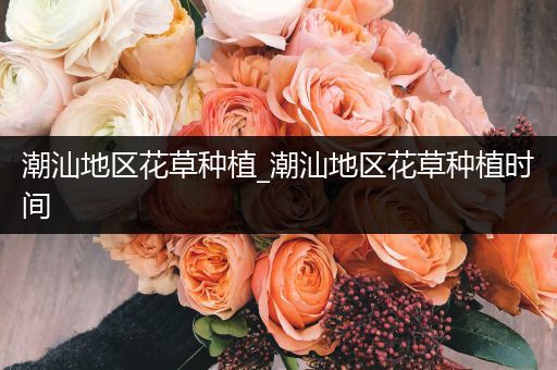 潮汕地区花草种植_潮汕地区花草种植时间