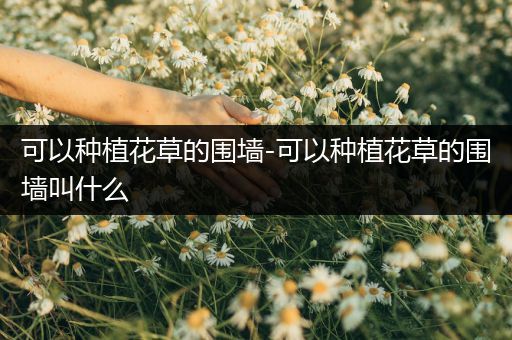 可以种植花草的围墙-可以种植花草的围墙叫什么