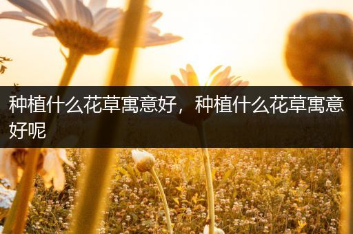 种植什么花草寓意好，种植什么花草寓意好呢