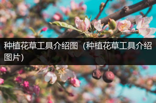种植花草工具介绍图（种植花草工具介绍图片）