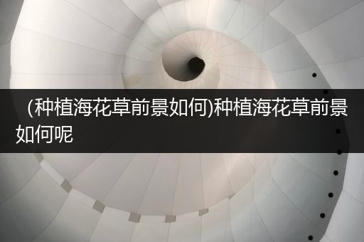 （种植海花草前景如何)种植海花草前景如何呢