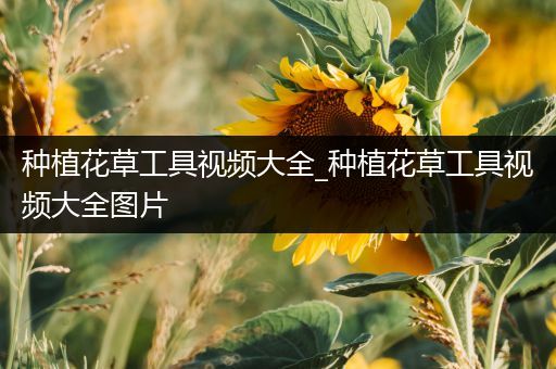 种植花草工具视频大全_种植花草工具视频大全图片