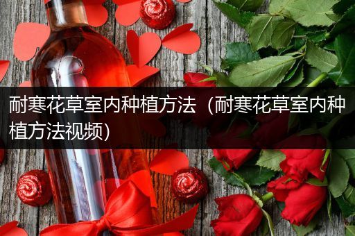 耐寒花草室内种植方法（耐寒花草室内种植方法视频）