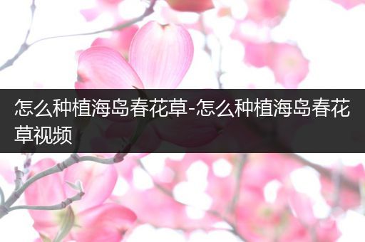 怎么种植海岛春花草-怎么种植海岛春花草视频