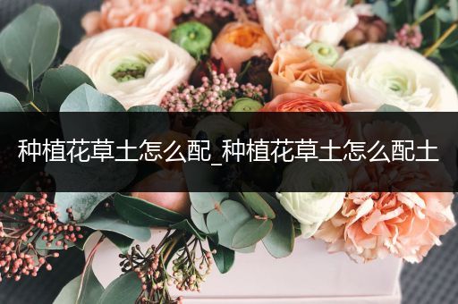 种植花草土怎么配_种植花草土怎么配土
