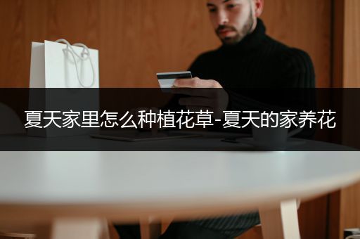 夏天家里怎么种植花草-夏天的家养花