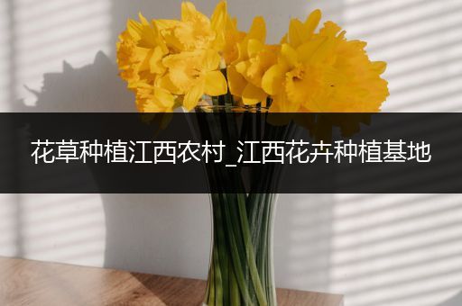 花草种植江西农村_江西花卉种植基地