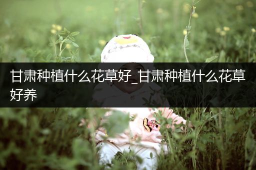 甘肃种植什么花草好_甘肃种植什么花草好养