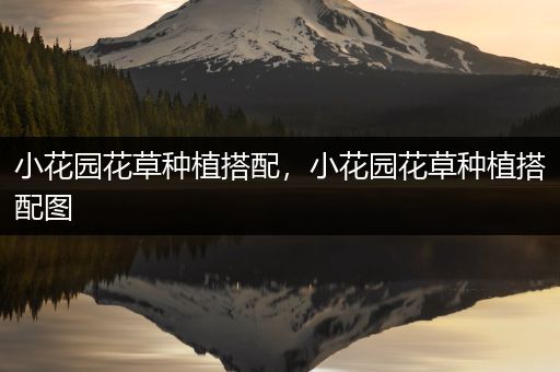 小花园花草种植搭配，小花园花草种植搭配图