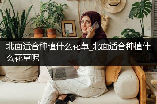 北面适合种植什么花草_北面适合种植什么花草呢