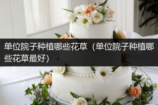 单位院子种植哪些花草（单位院子种植哪些花草最好）