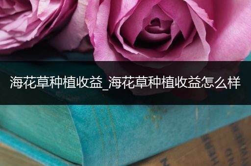 海花草种植收益_海花草种植收益怎么样