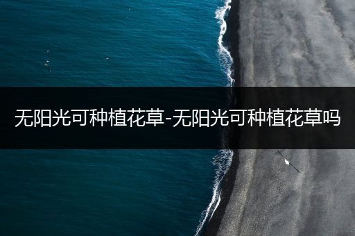 无阳光可种植花草-无阳光可种植花草吗