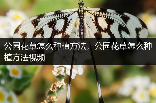 公园花草怎么种植方法，公园花草怎么种植方法视频