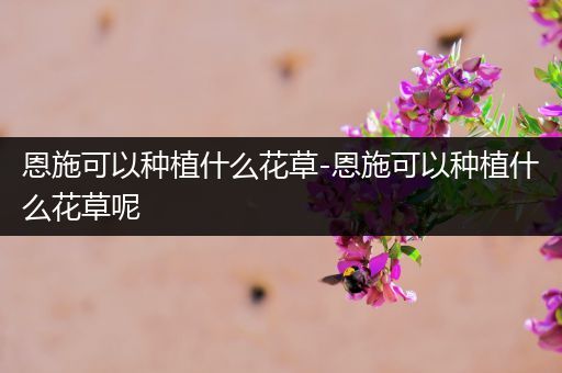 恩施可以种植什么花草-恩施可以种植什么花草呢