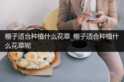 棚子适合种植什么花草_棚子适合种植什么花草呢