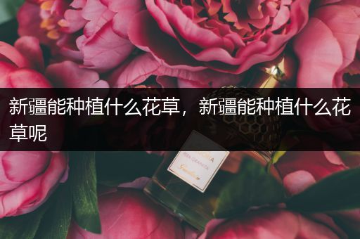 新疆能种植什么花草，新疆能种植什么花草呢