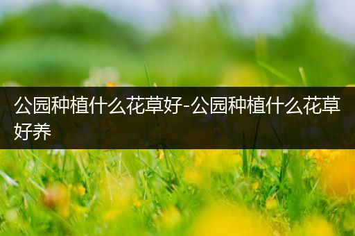 公园种植什么花草好-公园种植什么花草好养