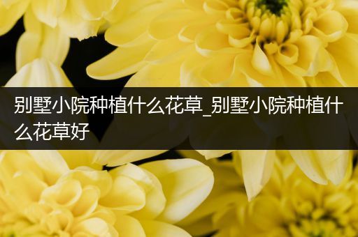 别墅小院种植什么花草_别墅小院种植什么花草好