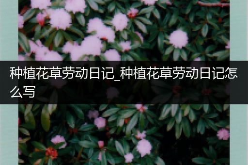 种植花草劳动日记_种植花草劳动日记怎么写