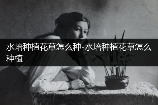 水培种植花草怎么种-水培种植花草怎么种植