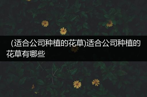 （适合公司种植的花草)适合公司种植的花草有哪些