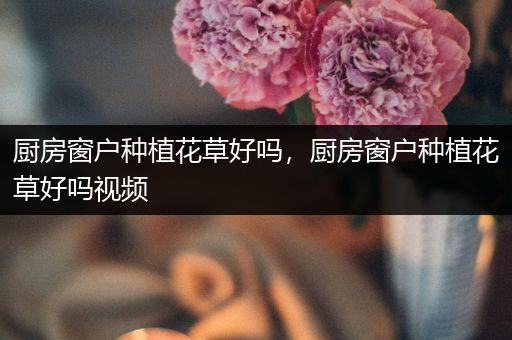 厨房窗户种植花草好吗，厨房窗户种植花草好吗视频