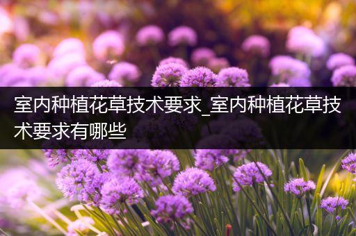室内种植花草技术要求_室内种植花草技术要求有哪些