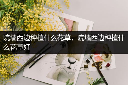 院墙西边种植什么花草，院墙西边种植什么花草好