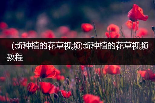 （新种植的花草视频)新种植的花草视频教程