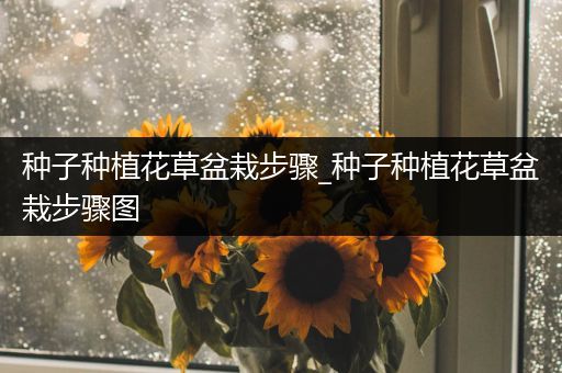 种子种植花草盆栽步骤_种子种植花草盆栽步骤图