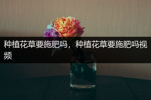 种植花草要施肥吗，种植花草要施肥吗视频