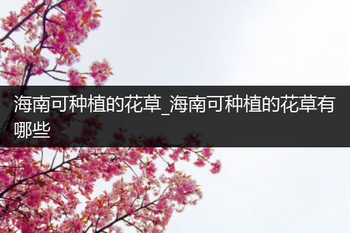 海南可种植的花草_海南可种植的花草有哪些