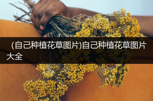 （自己种植花草图片)自己种植花草图片大全