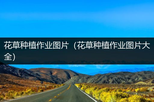 花草种植作业图片（花草种植作业图片大全）