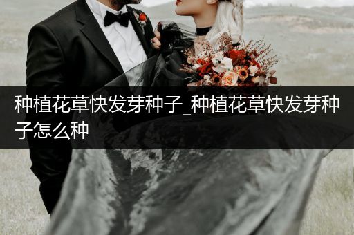 种植花草快发芽种子_种植花草快发芽种子怎么种