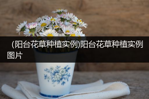 （阳台花草种植实例)阳台花草种植实例图片