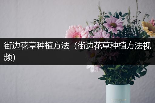街边花草种植方法（街边花草种植方法视频）