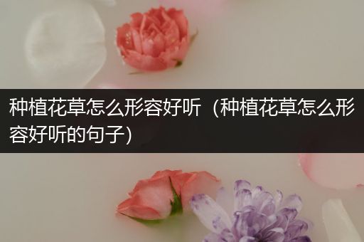 种植花草怎么形容好听（种植花草怎么形容好听的句子）