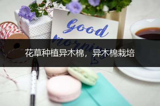 花草种植异木棉，异木棉栽培