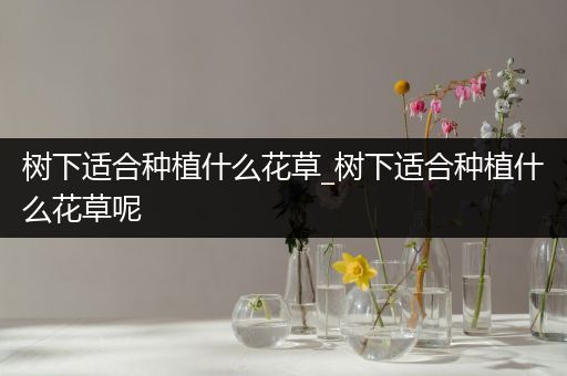 树下适合种植什么花草_树下适合种植什么花草呢