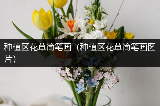 种植区花草简笔画（种植区花草简笔画图片）