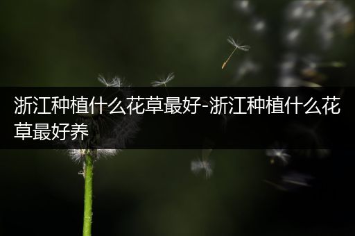 浙江种植什么花草最好-浙江种植什么花草最好养